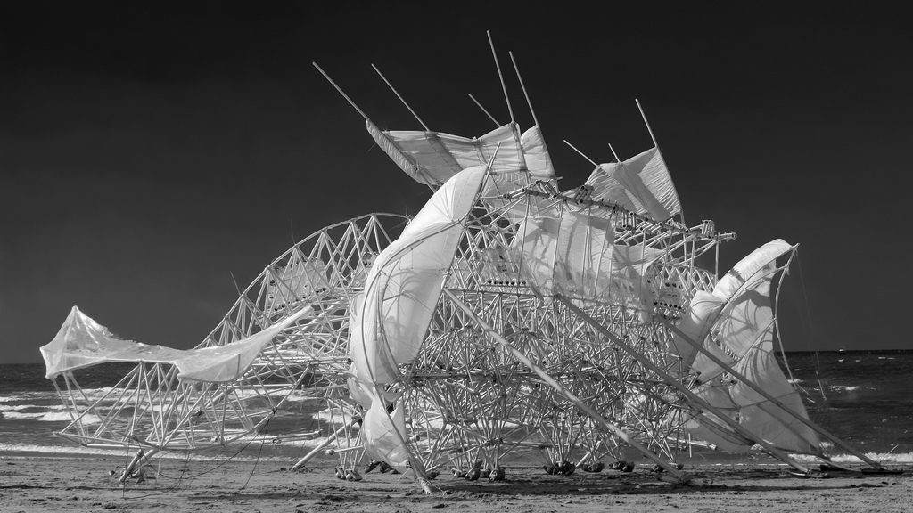 Strandbeest - Ph. Robbert van den Beld from Flickr