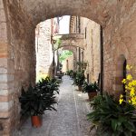 spello infiorate 2016