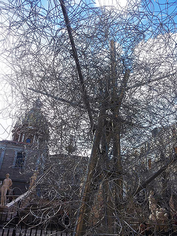 Albero della pace Palermo in piazza Pretoria