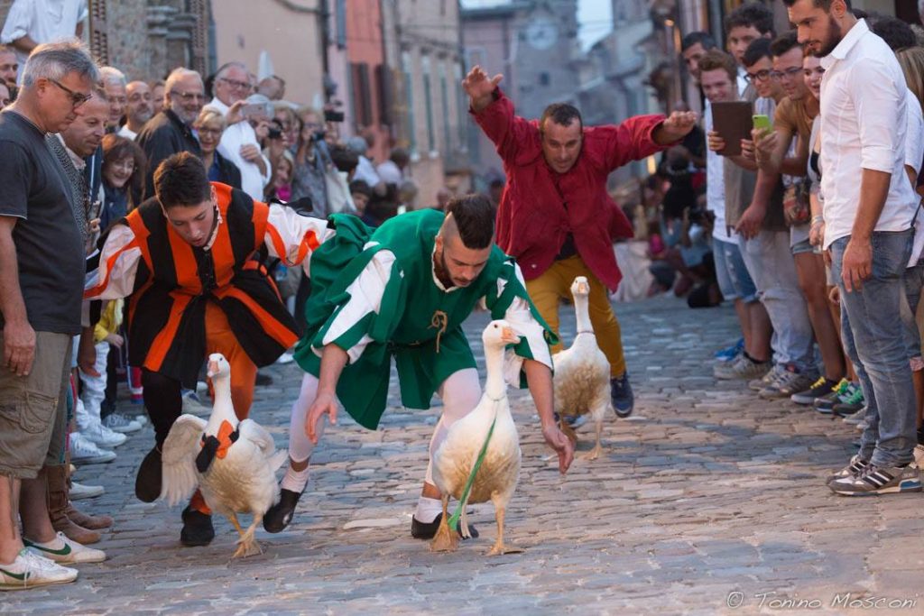 palio del daino 2017