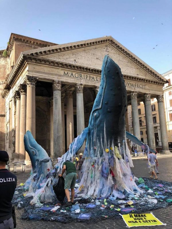 balena greenpeace al pantheon