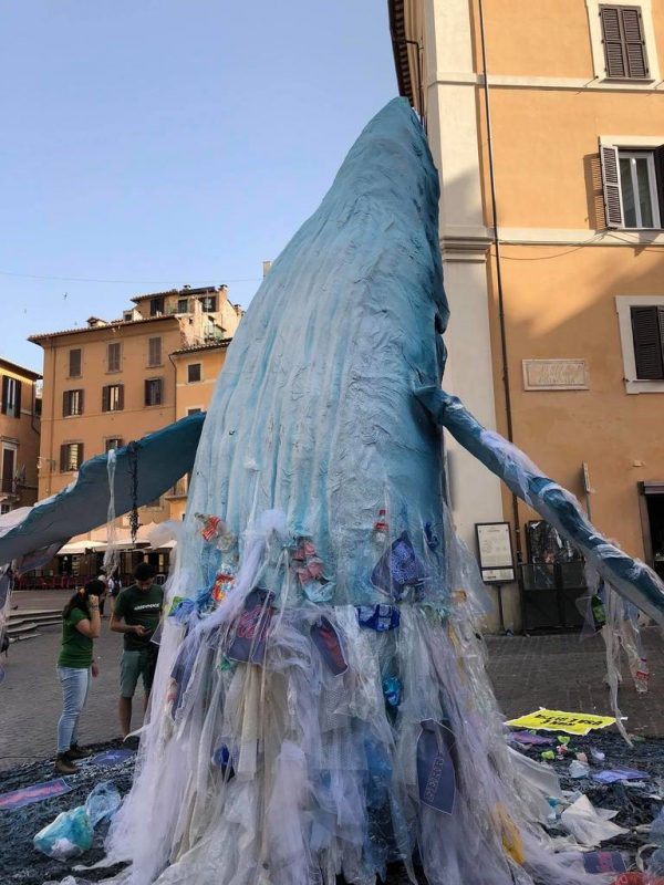 balena greenpeace al pantheon