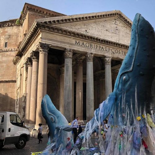 balena greenpeace al pantheon