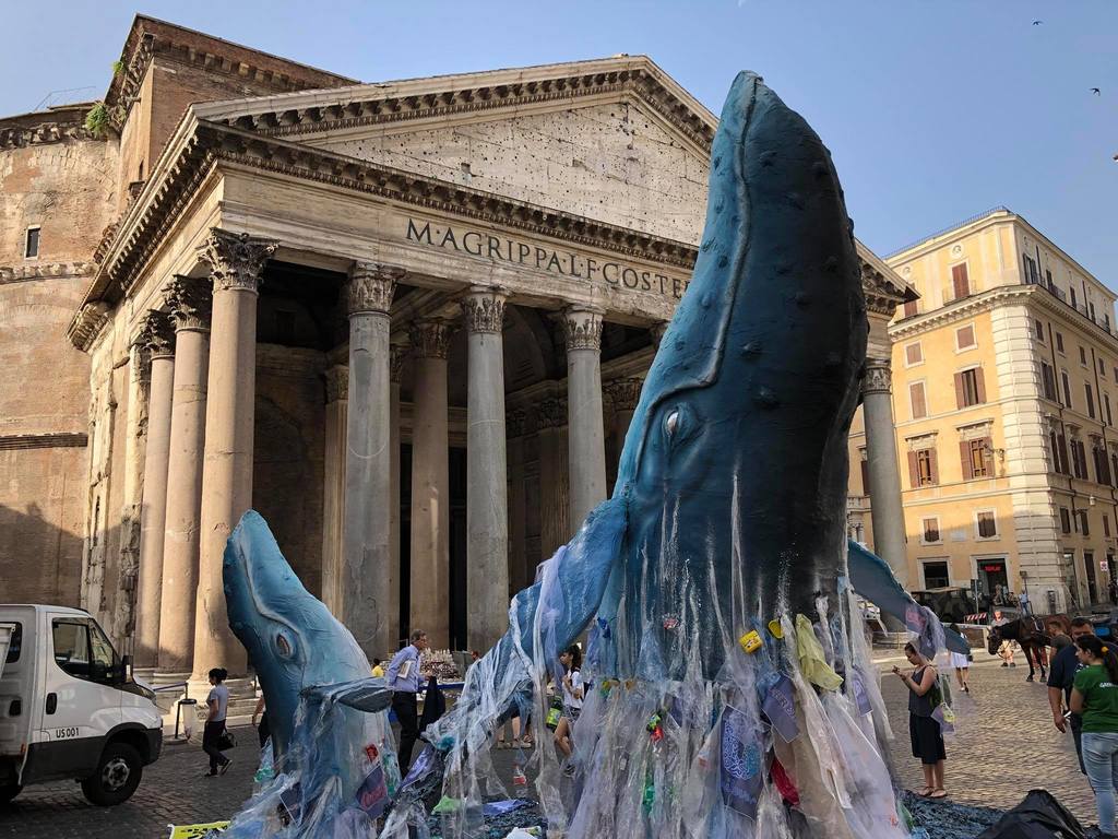 balena greenpeace al pantheon