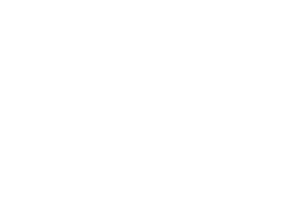 studi accademici arte contemporane